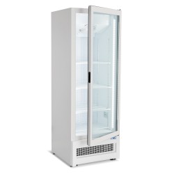 Armoire réfrigérée en verre marin négative -18/-22°C - Froid ventilé 1 porte vitrée battante - 353 litres