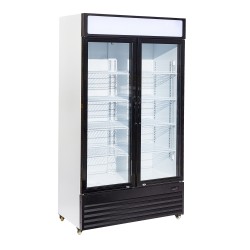 RÉFRIGÉRATEUR 2 PORTES EN VERRE BEZ-750 GD - 1120x610x1965 mm