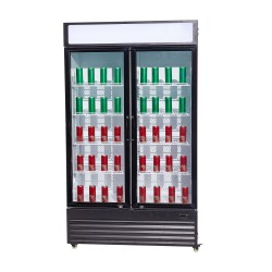 RÉFRIGÉRATEUR 2 PORTES EN VERRE BEZ-750 GD - 1120x610x1965 mm