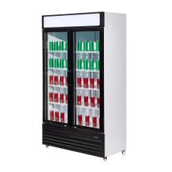 RÉFRIGÉRATEUR 2 PORTES EN VERRE BEZ-750 GD - 1120x610x1965 mm