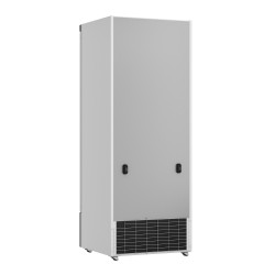 Armoire réfrigérée positive 0/+10°C - 1 porte vitrée battante - 600 litres