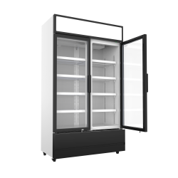 Armoire réfrigérée positive +1/+10°C - 2 portes vitrées battantes - 670 litres