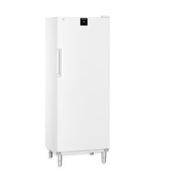 Armoire négative statique, blanche, 573L