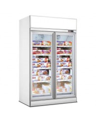 Armoire réfrigérée blanche positive avec canopy - 0/+10°C - 2 portes vitrées battantes - 1000 litres