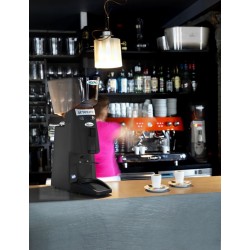 Moulin à café professionnel SANTOS espresso modèle "Automatique" 55