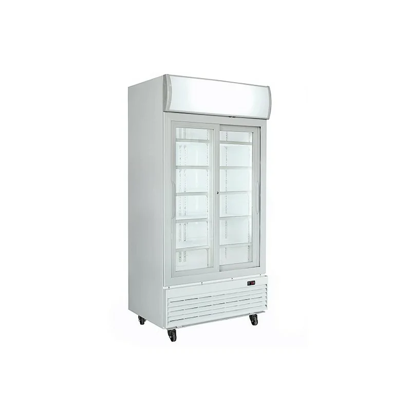Vitrine freezer verticale 100 litres avec 2 portes battantes et panneau publicitaire, -18°/-22°C