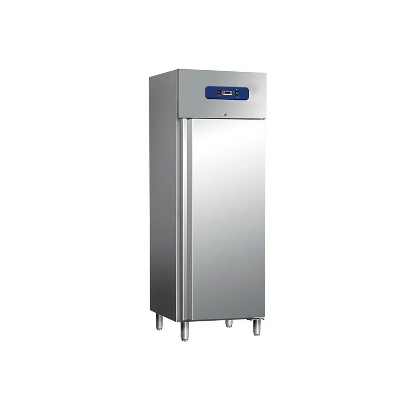 Armoire frigorifique pour poissons - 600 litres - 1 porte - AFI