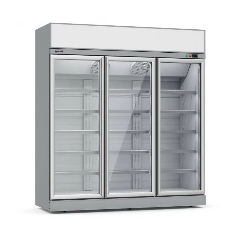 Armoire réfrigérée négative blanche avec canopy - 18/-22°C - 3 portes vitrées battantes - 1530 litres