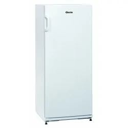 Réfrigérateur à boissons 254L