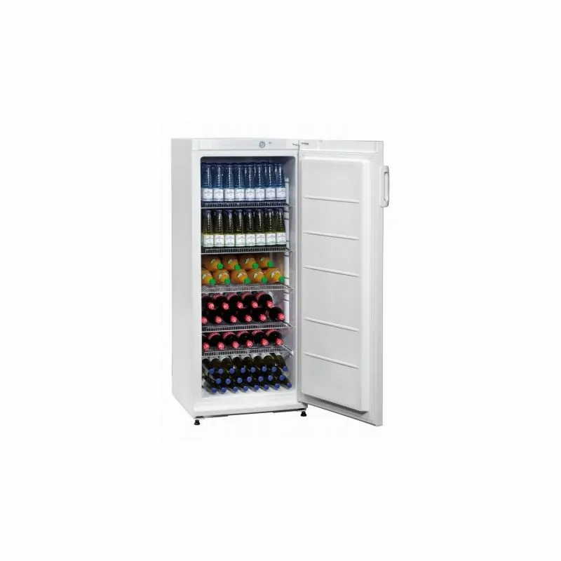Réfrigérateur à boissons 254L