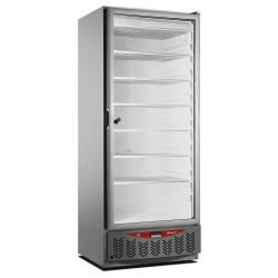 Congélateur Statique Vitré 525L Inox avec Éclairage LED et Régulation Électronique