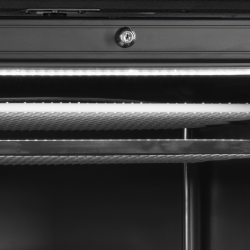 Vitrine Froid Négatif: Performance et Efficacité pour Conservation à -24 à -14°C, 300/270 L