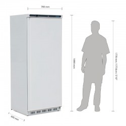 Armoire réfrigérée positive inox Polar Série C 600L