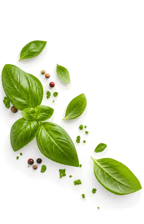 Feuilles de basilic et épices